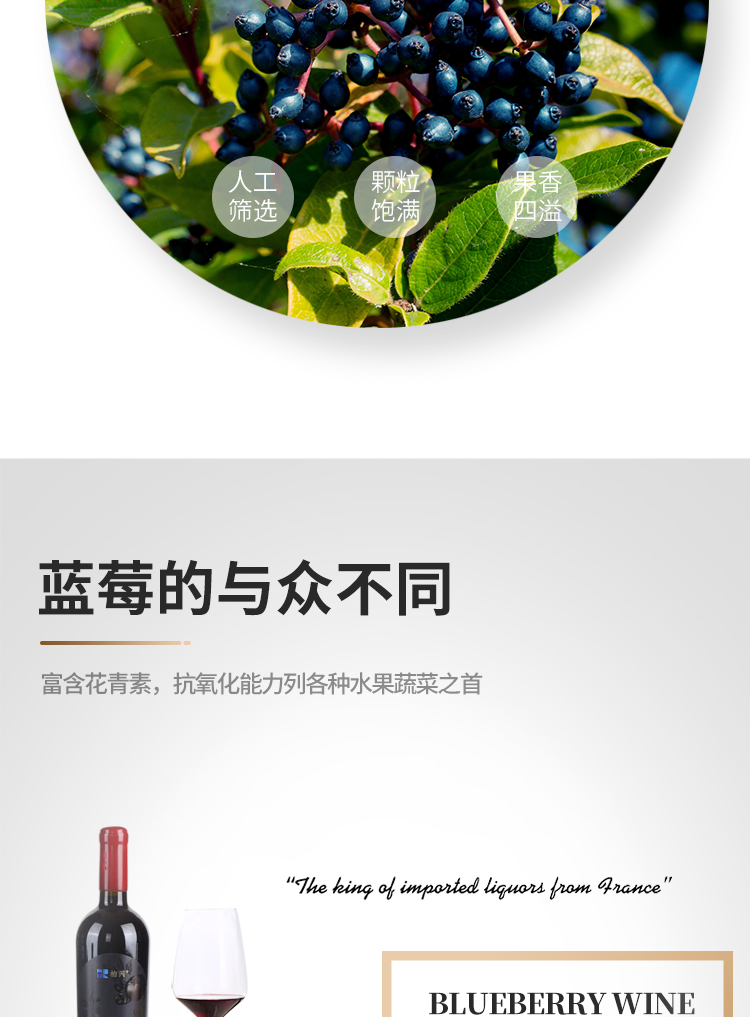 蓝莓酒详情_06.jpg