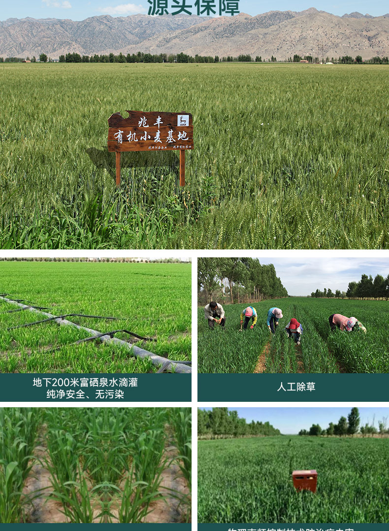 详情-19.jpg