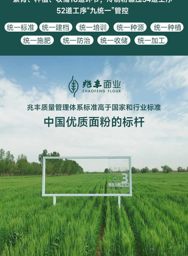 详情-17.jpg
