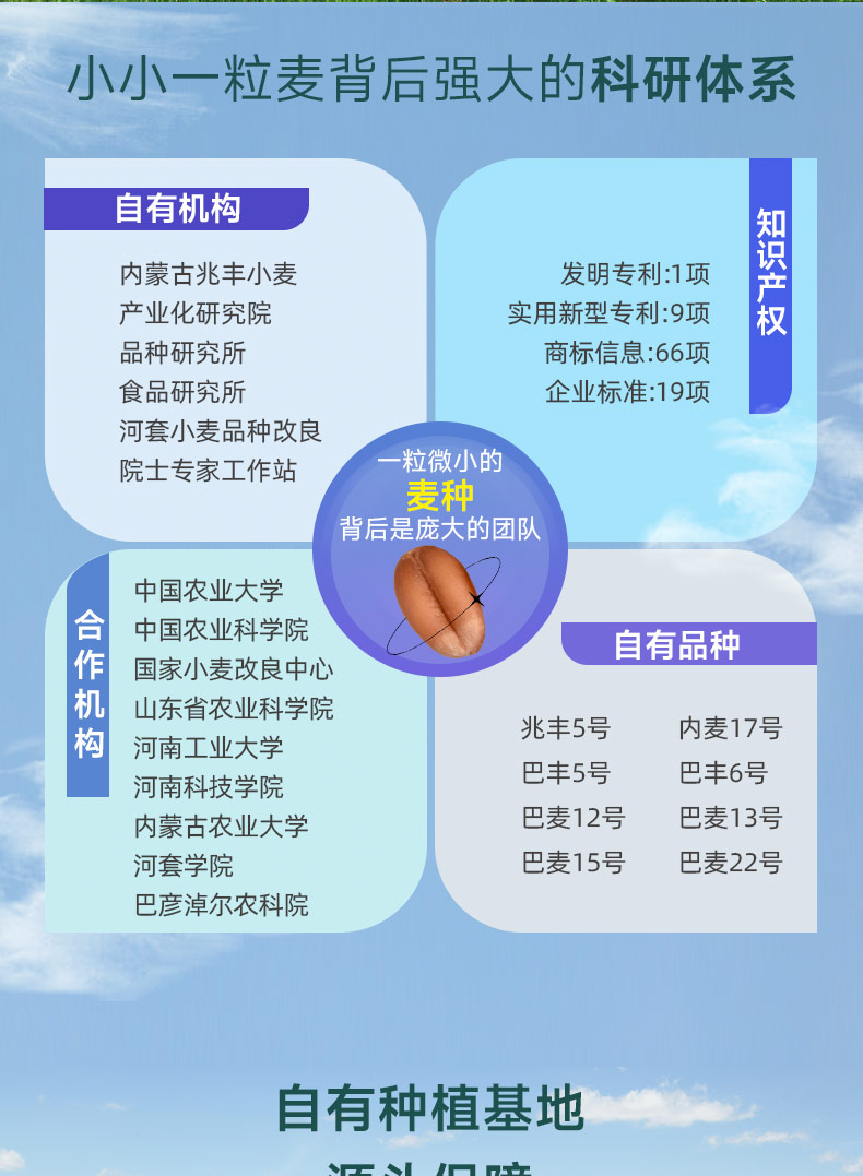 详情-18.jpg