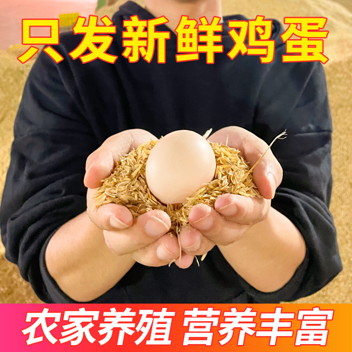【信鸿农业出品】俏舅妈农家谷饲鲜鸡蛋30枚装