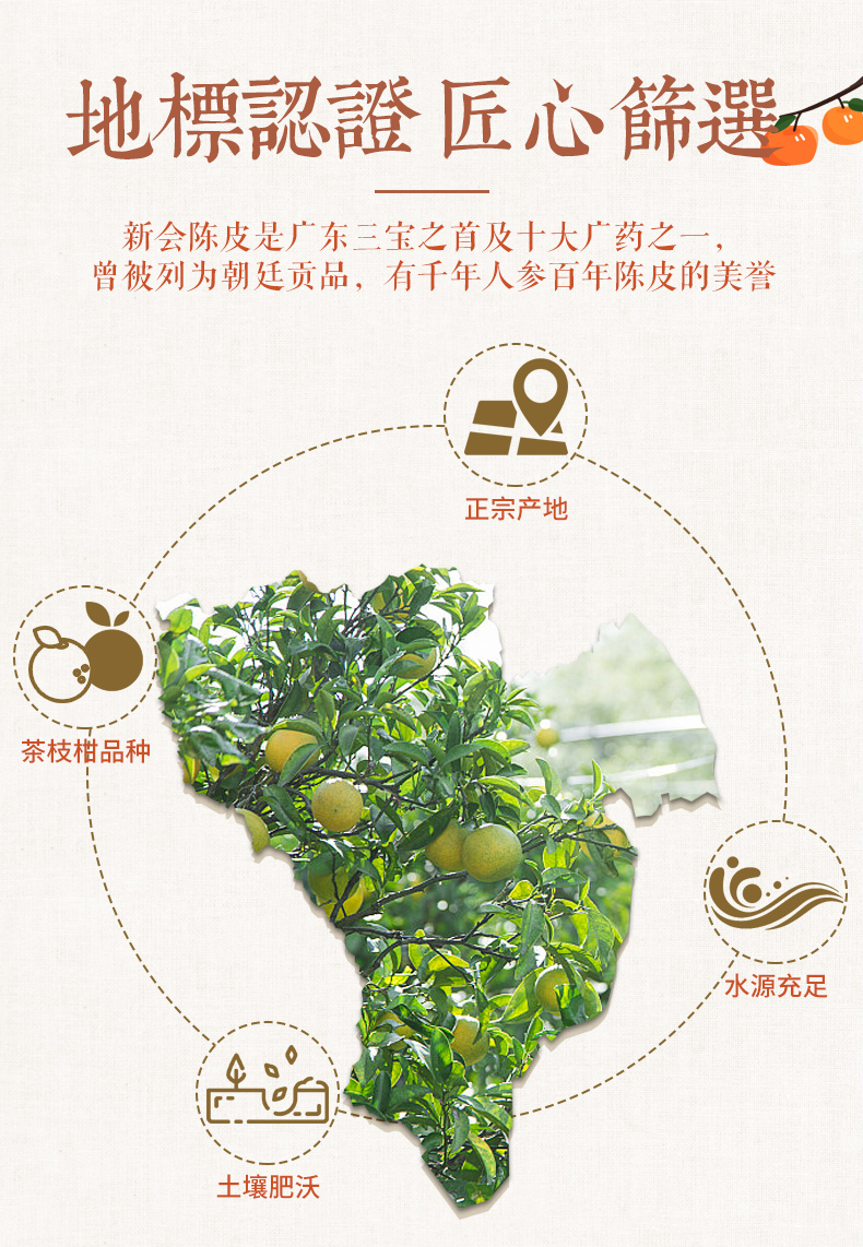 详情_02.jpg