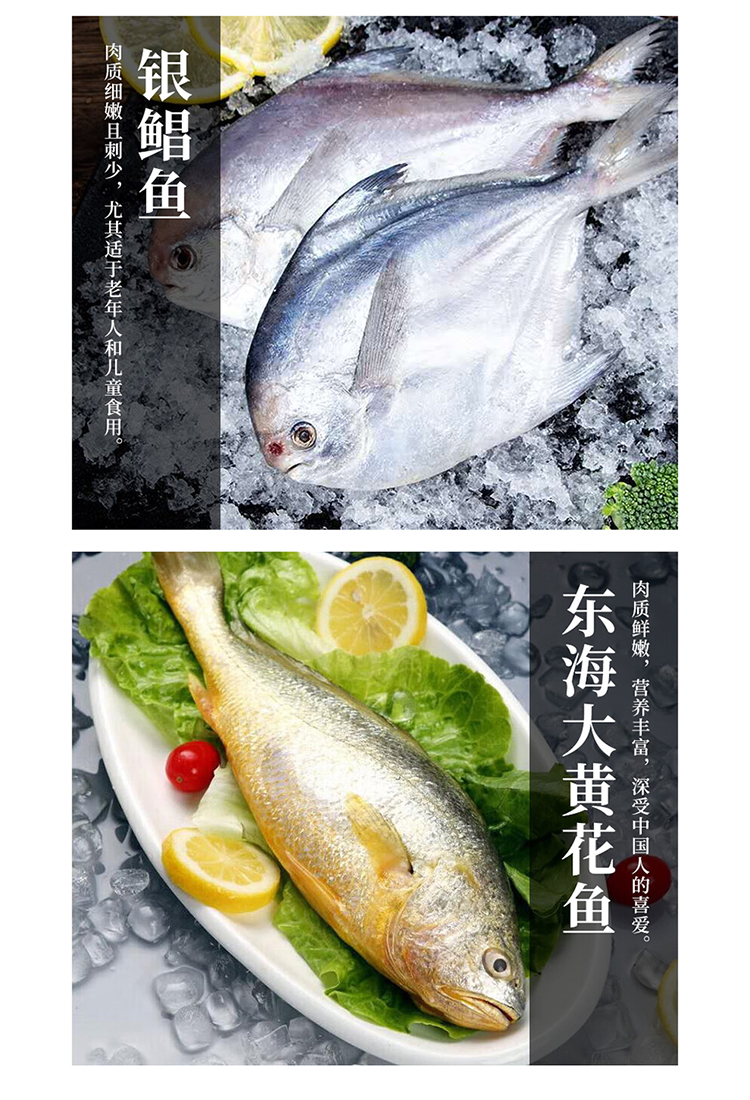 海鲜_05.jpg