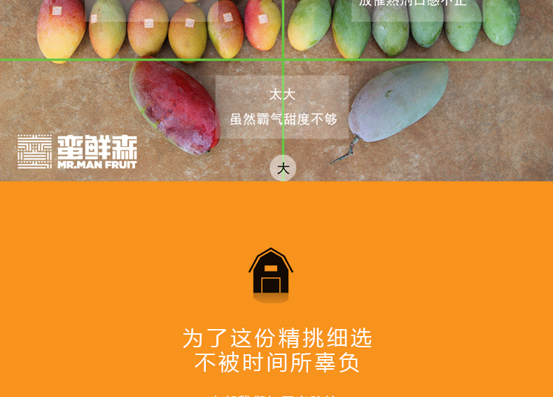 小金凤详情页_18.jpg