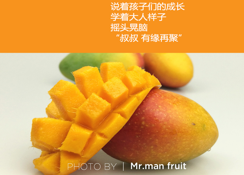 小金凤详情页_16.jpg