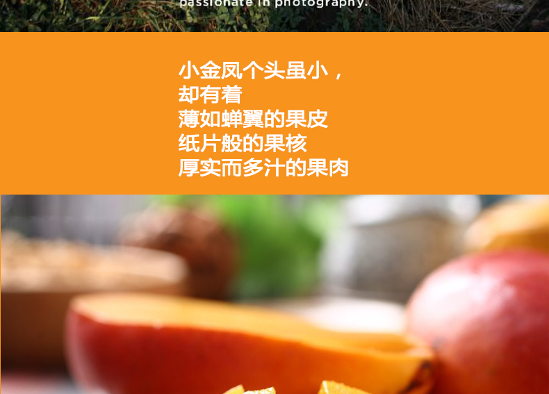 小金凤详情页_07.jpg