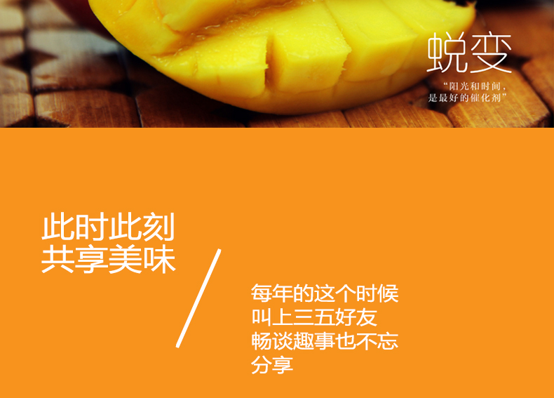 小金凤详情页_15.jpg