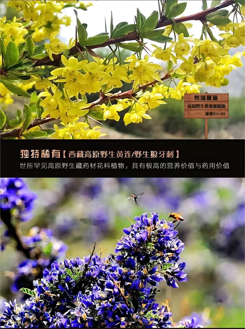 详情页4.jpg