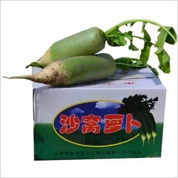 天津沙窝萝卜礼盒4kg