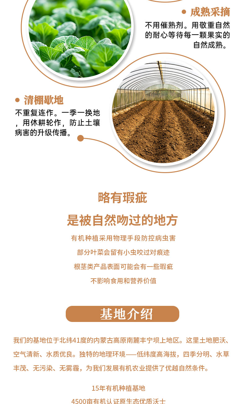 胡萝卜详情页褐色_08.jpg