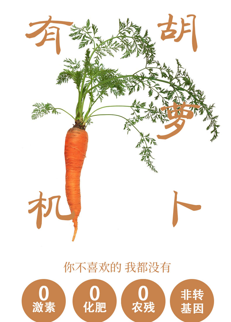 胡萝卜详情页褐色_01.jpg