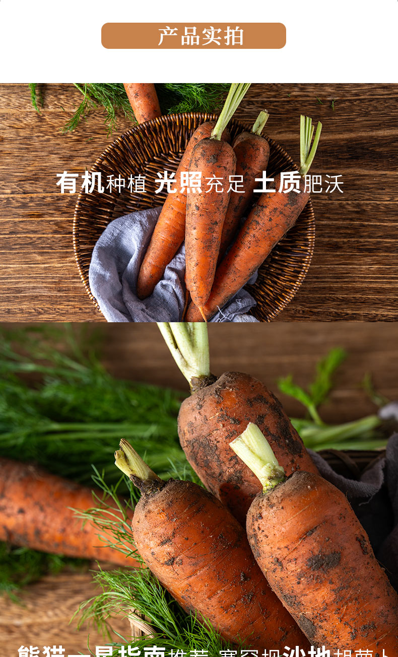 胡萝卜详情页褐色_04.jpg
