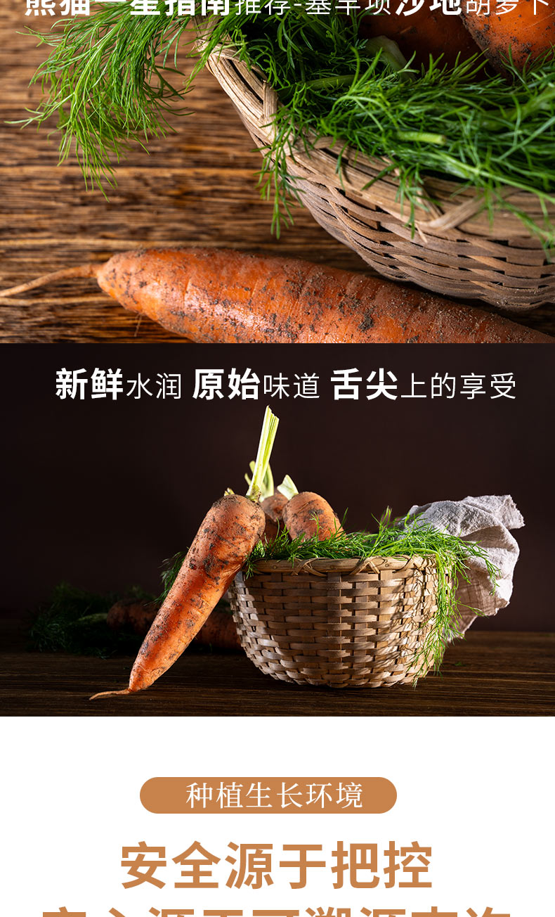 胡萝卜详情页褐色_05.jpg