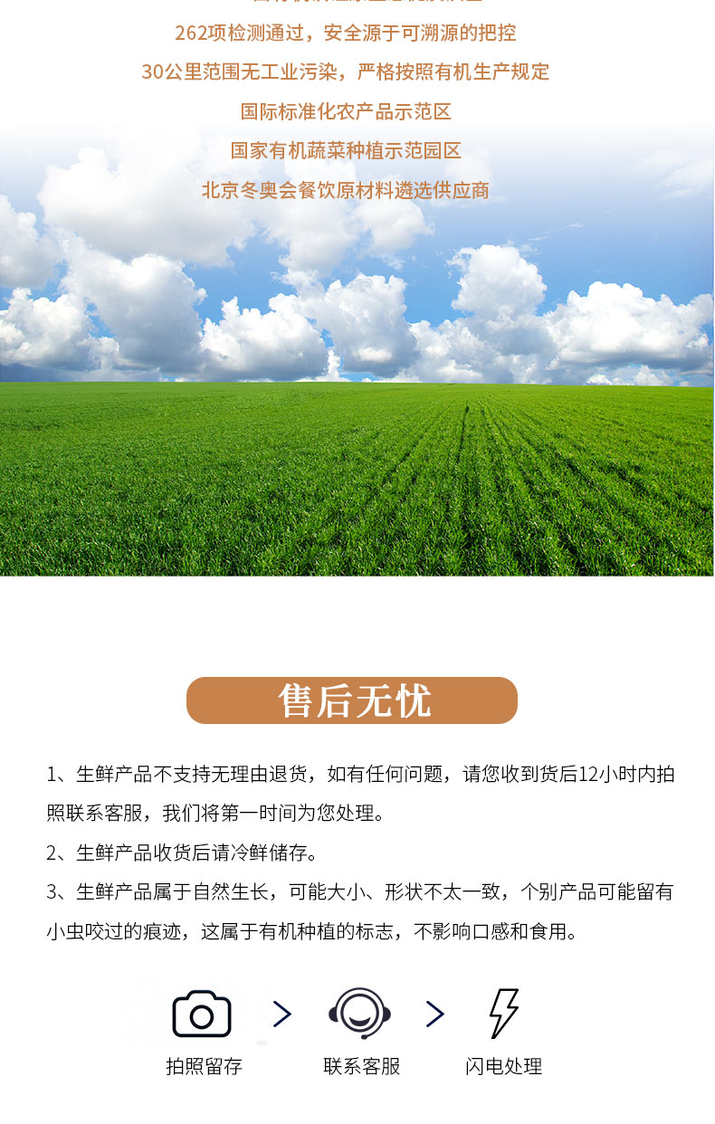 胡萝卜详情页褐色_09.jpg