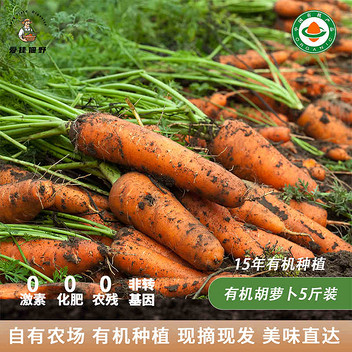 有机· 塞罕坝精品胡萝卜5斤礼盒装（熊猫一星推荐）