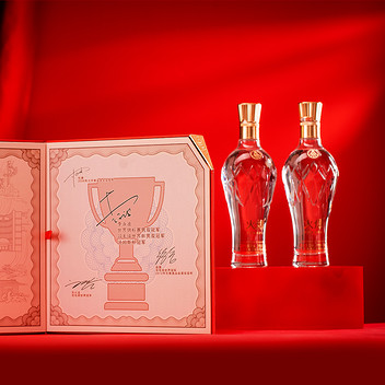 五粮液火爆光荣礼盒 浓香型52度白酒 500mL*2瓶（送2壶8杯酒具）