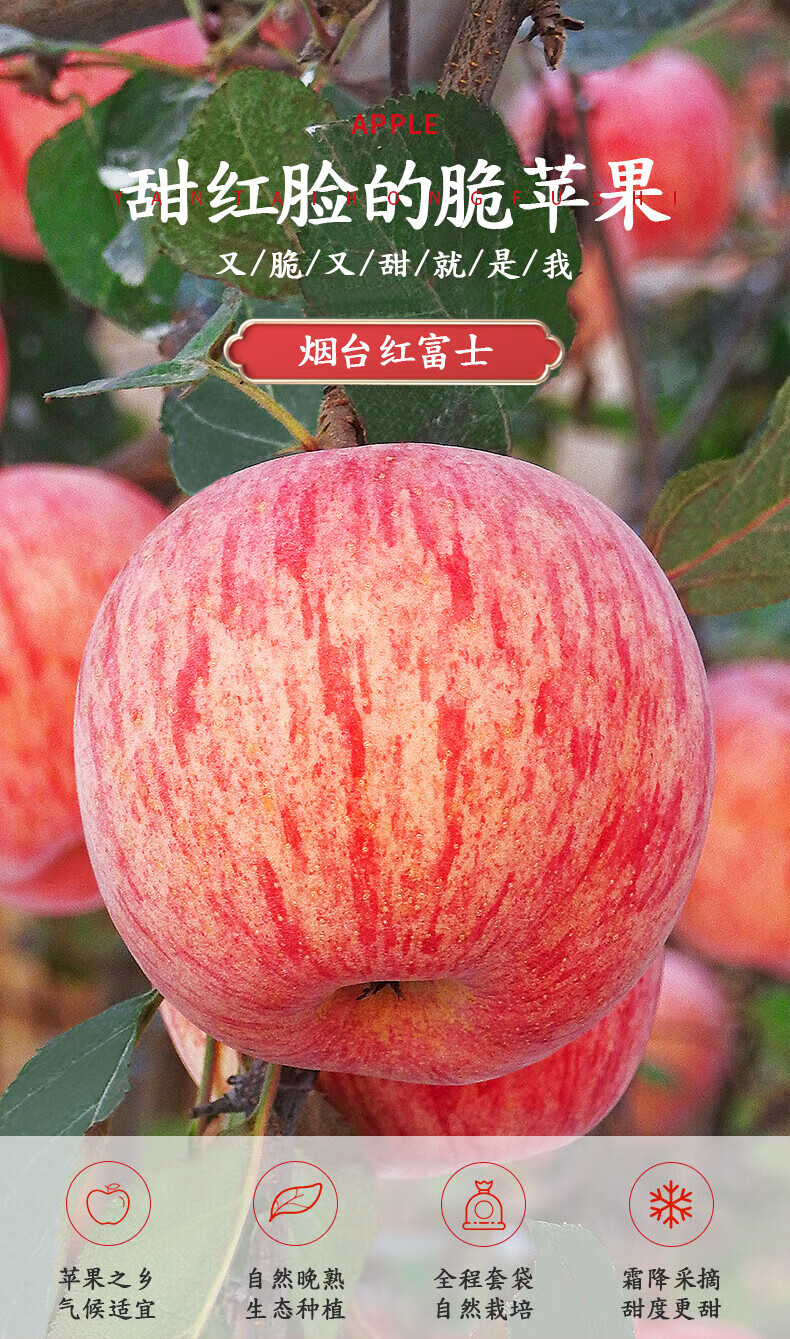01.jpg