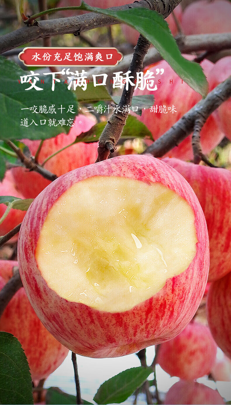 04.jpg