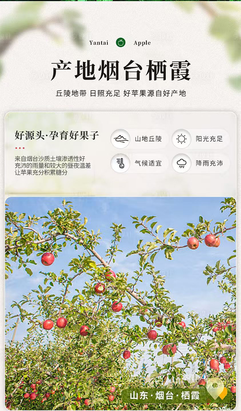 微信图片_20250213135704_03.jpg