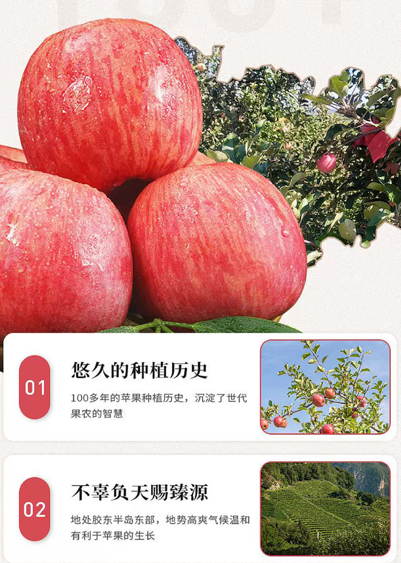 微信图片_20250213135704_08.jpg