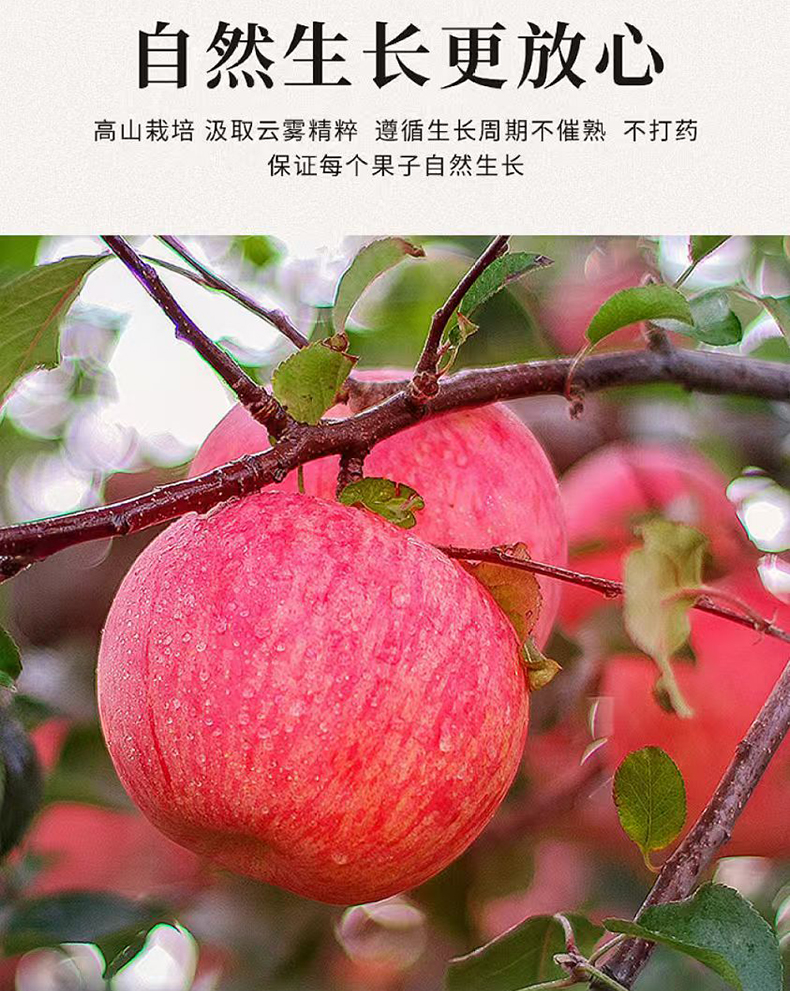 微信图片_20250213135704_06.jpg