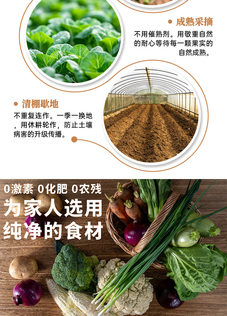 套餐详情页褐色_07.jpg