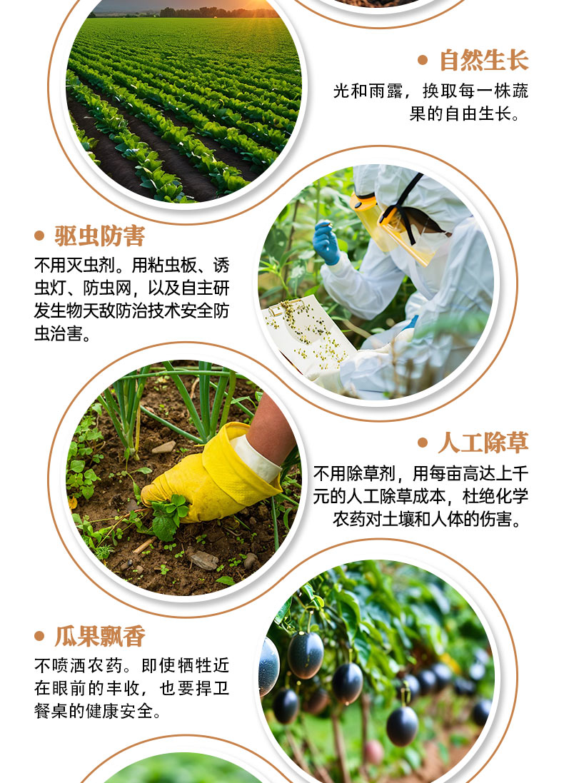 套餐详情页褐色_06.jpg