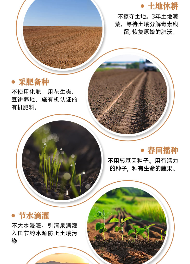 套餐详情页褐色_05.jpg