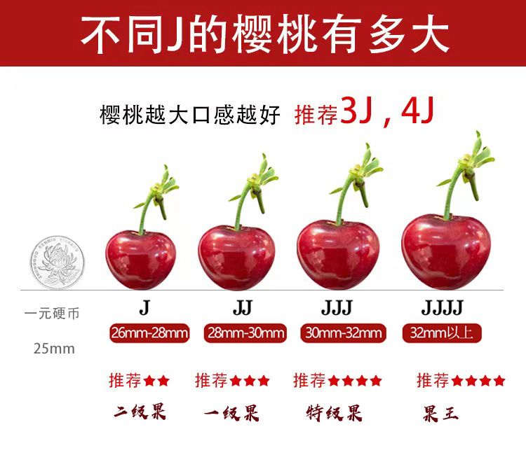详情 (8).jpg