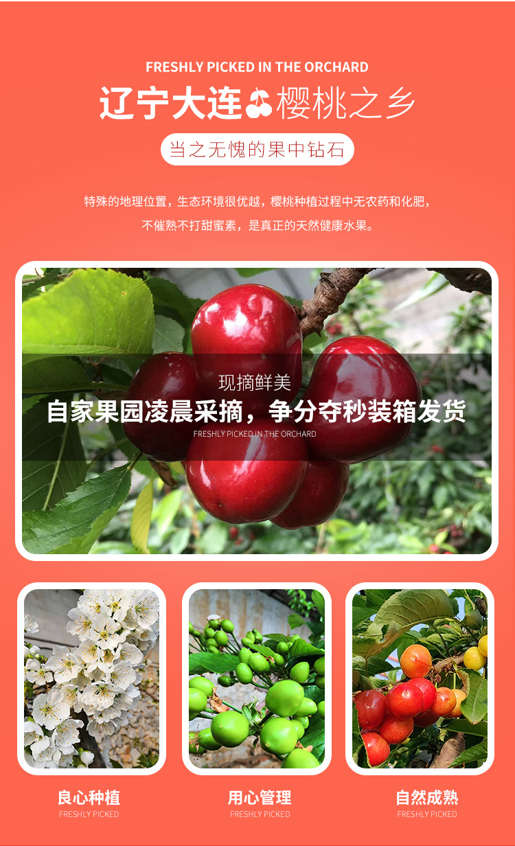详情 (7).jpg