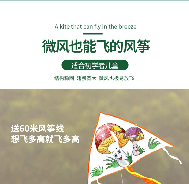 风筝-06.jpg