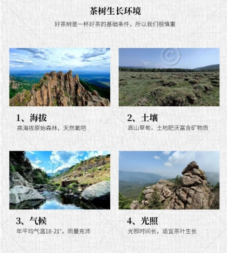 详情页2.jpg