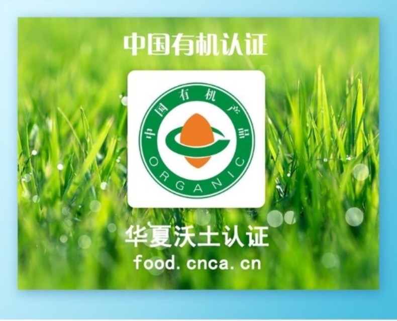 详情页2.jpg