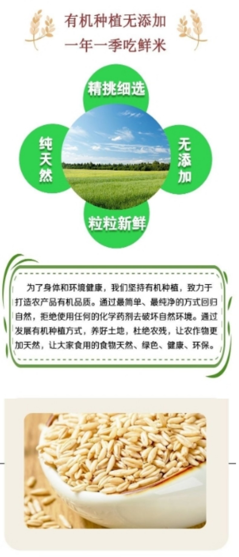 详情页10.jpg