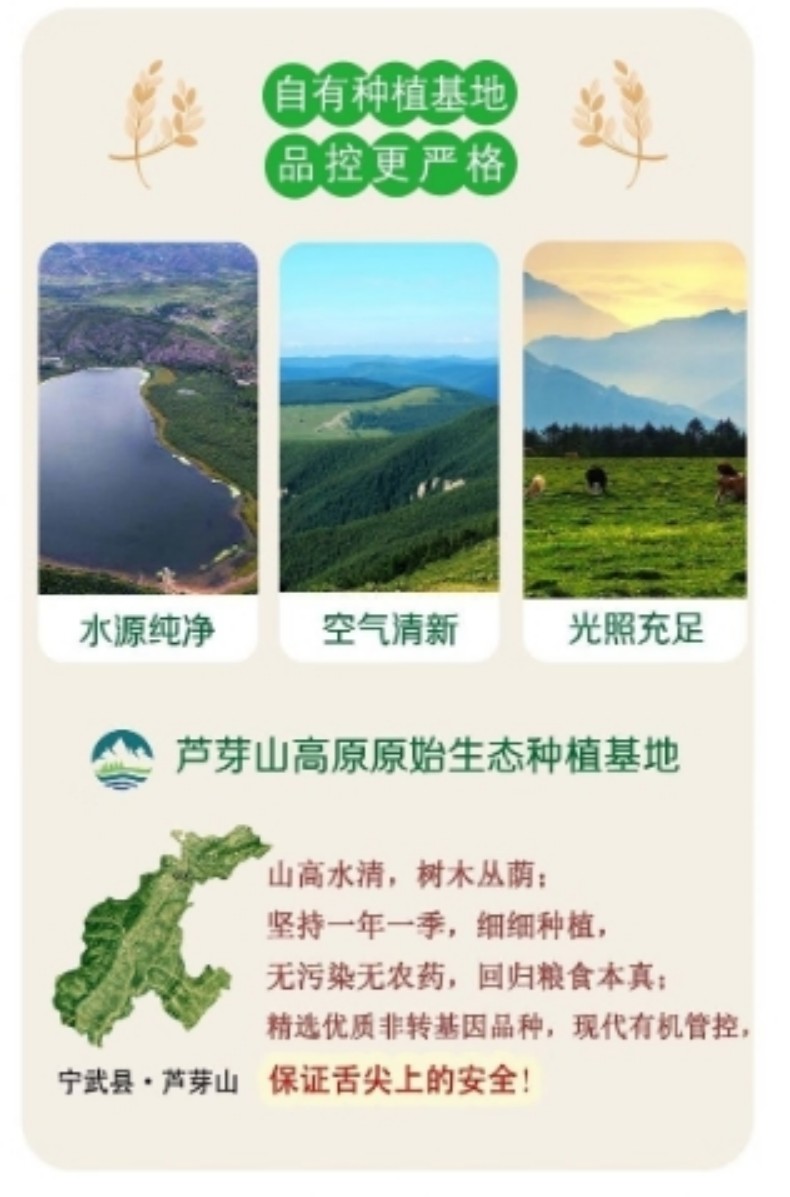 详情页9.jpg