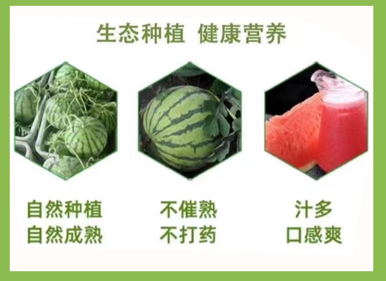 西瓜_12.jpg