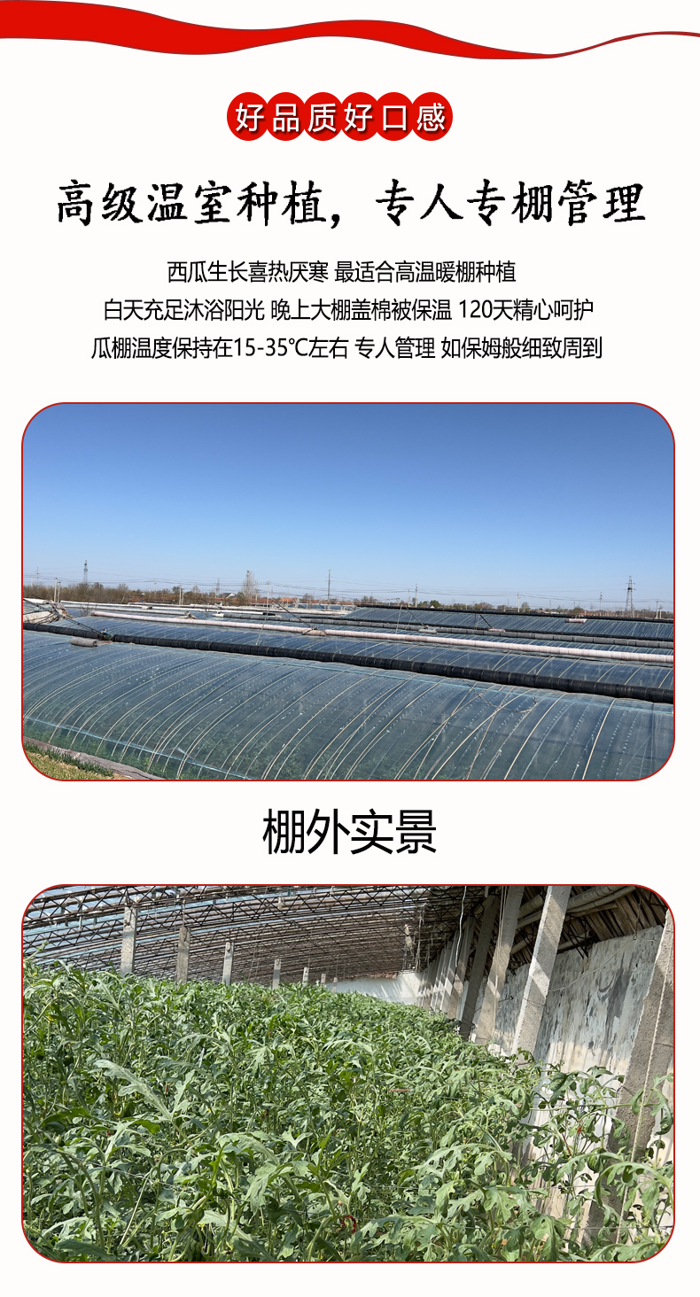 西瓜_04.jpg