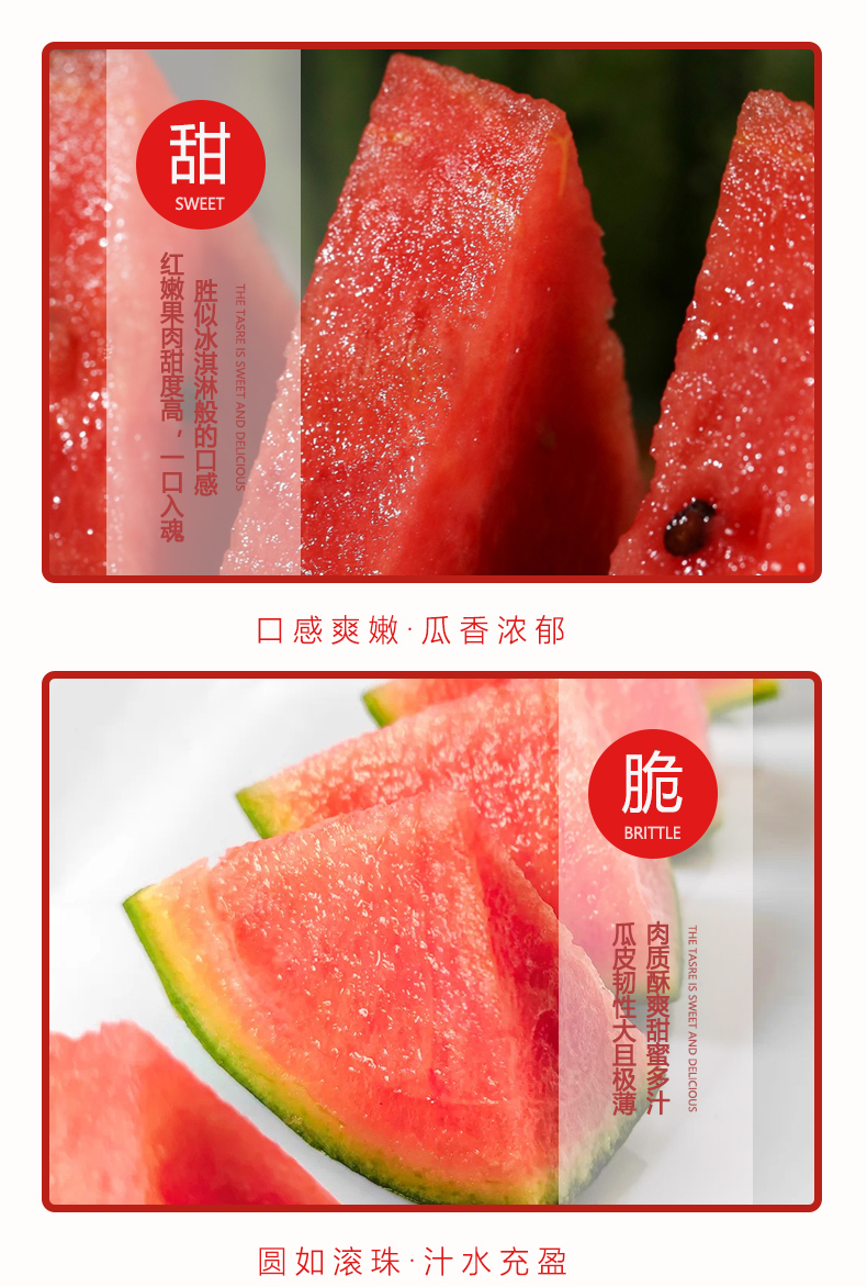 西瓜_06.jpg