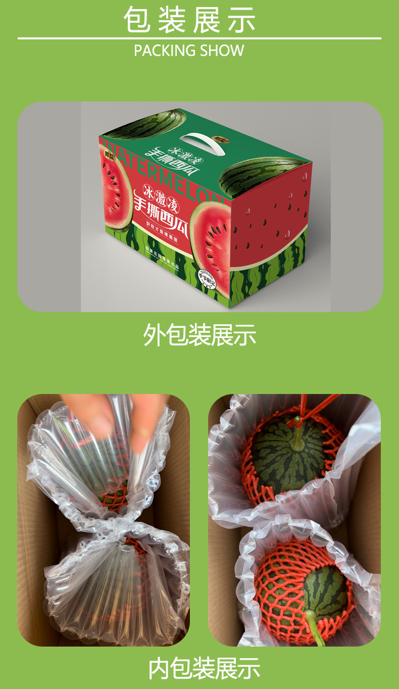西瓜_16.jpg