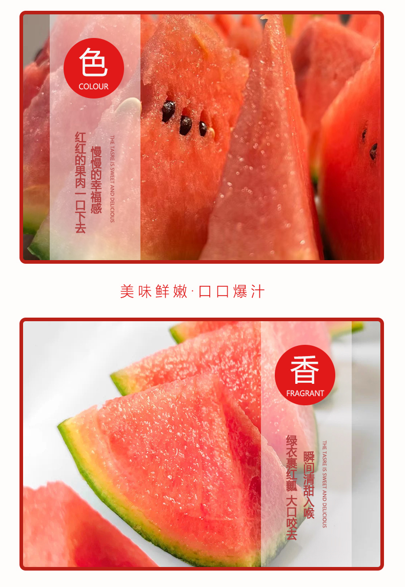 西瓜_07.jpg