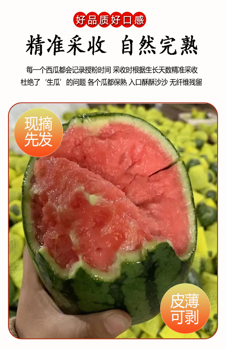 西瓜_03.jpg