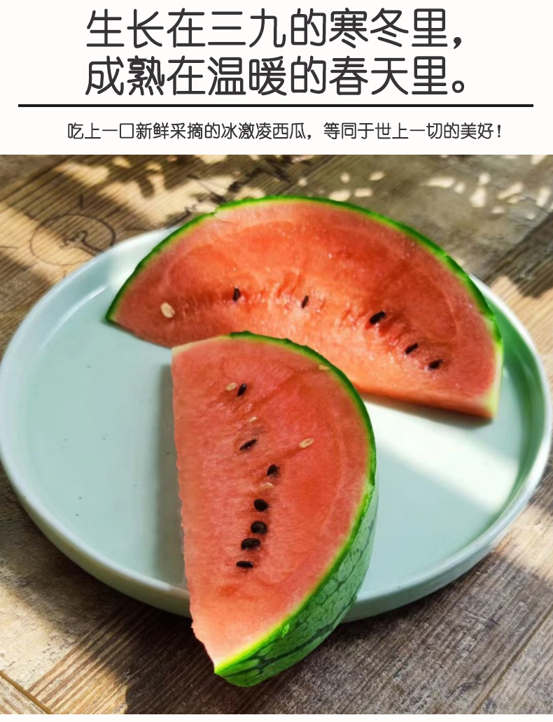 西瓜_08.jpg