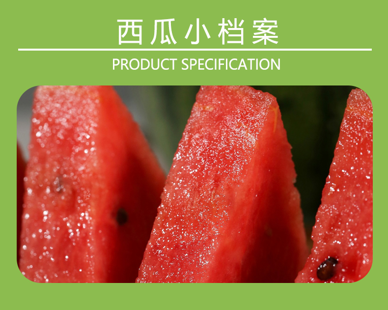 西瓜_17.jpg