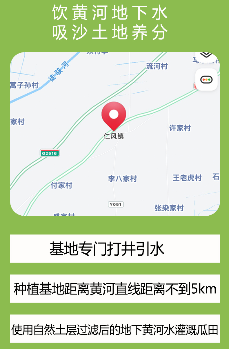 西瓜_15.jpg