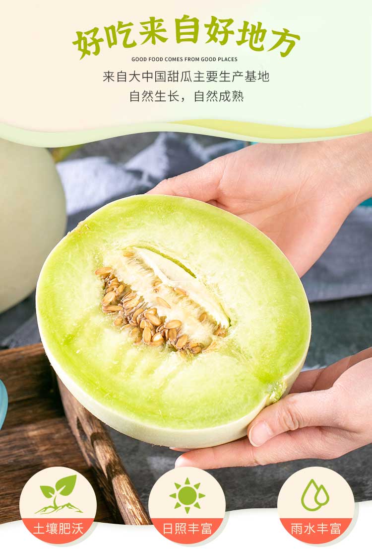 玉菇甜瓜 (5).jpg
