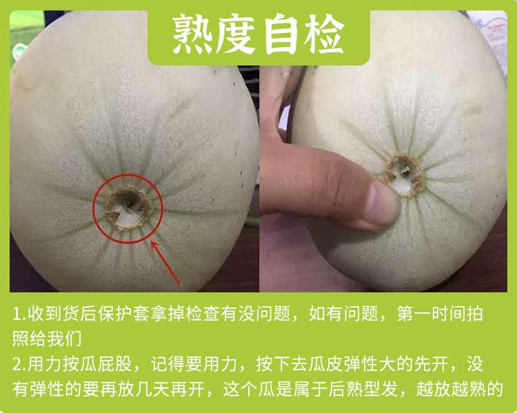 玉菇甜瓜 (14).jpg