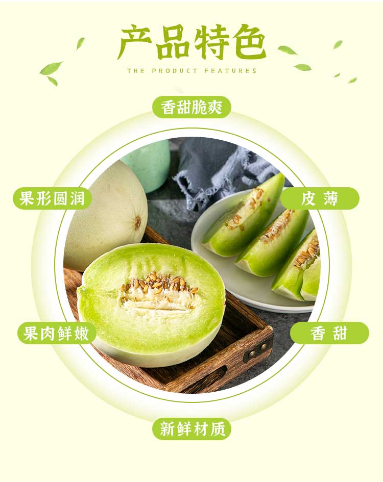 玉菇甜瓜 (7).jpg