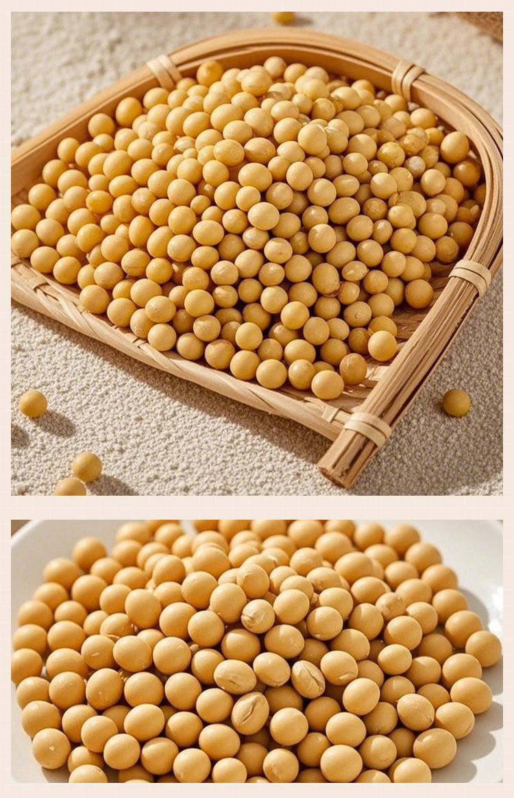 有机黄豆310g详情_05.jpg