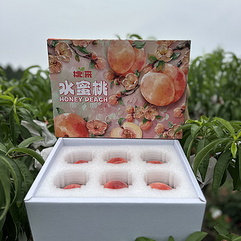 成都龙泉驿水蜜桃2斤礼盒装（5-6枚随机）