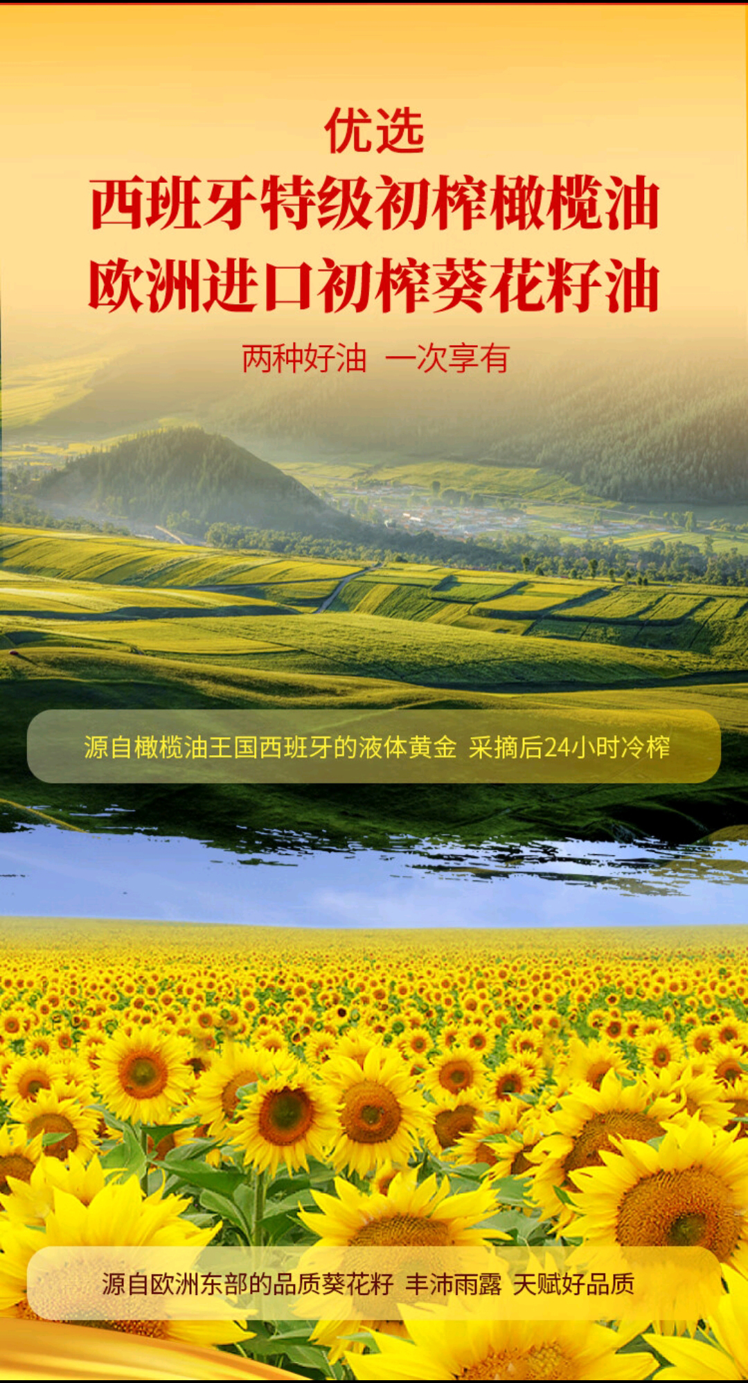 详情2.jpg